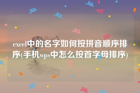 excel中的名字如何按拼音顺序排序(手机wps中怎么按首字母排序)