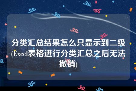 分类汇总结果怎么只显示到二级(Excel表格进行分类汇总之后无法撤销)