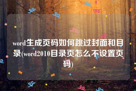 word生成页码如何跳过封面和目录(word2010目录页怎么不设置页码)