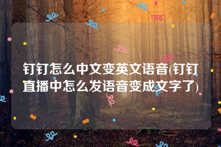 钉钉怎么中文变英文语音(钉钉直播中怎么发语音变成文字了)