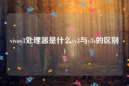 vivoy3处理器是什么(y3与y3s的区别)