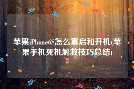 苹果iPhone6S怎么重启和开机(苹果手机死机解救技巧总结)