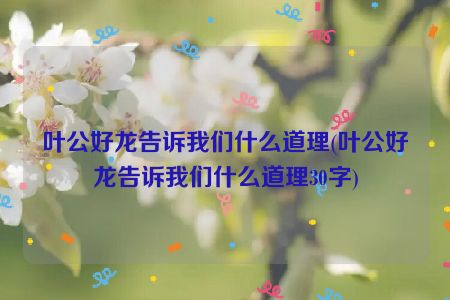 叶公好龙告诉我们什么道理(叶公好龙告诉我们什么道理30字)