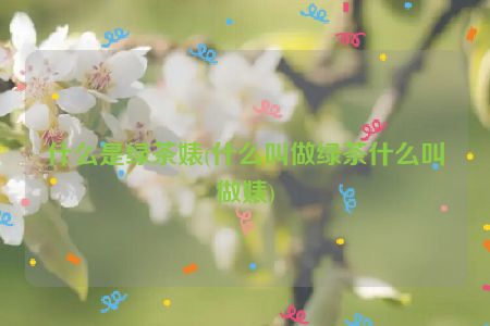 什么是绿茶婊(什么叫做绿茶什么叫做婊)