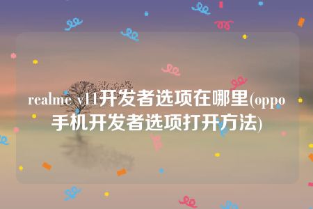 realme v11开发者选项在哪里(oppo手机开发者选项打开方法)