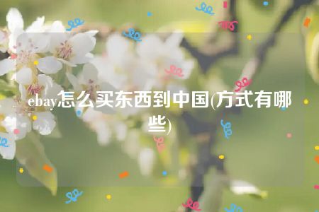 ebay怎么买东西到中国(方式有哪些)