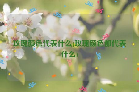 玫瑰颜色代表什么(玫瑰颜色都代表什么)