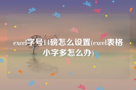 excel字号14磅怎么设置(excel表格小字多怎么办)