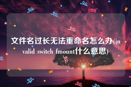 文件名过长无法重命名怎么办(invalid switch fmount什么意思)