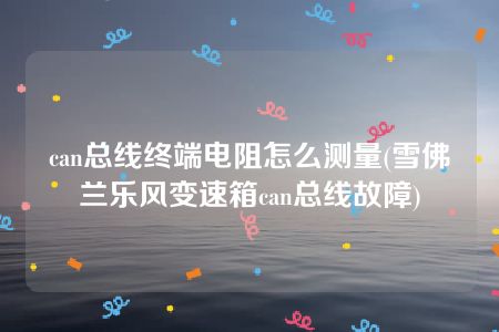 can总线终端电阻怎么测量(雪佛兰乐风变速箱can总线故障)