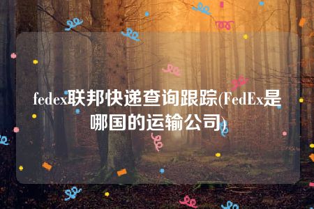 fedex联邦快递查询跟踪(FedEx是哪国的运输公司)