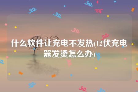 什么软件让充电不发热(12伏充电器发烫怎么办)