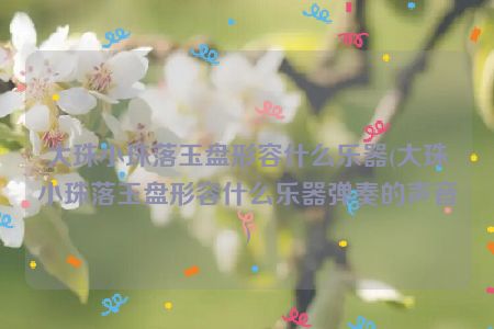 大珠小珠落玉盘形容什么乐器(大珠小珠落玉盘形容什么乐器弹奏的声音)