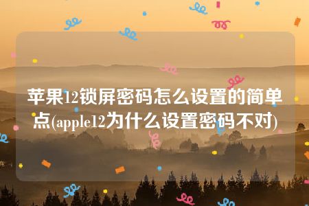 苹果12锁屏密码怎么设置的简单点(apple12为什么设置密码不对)