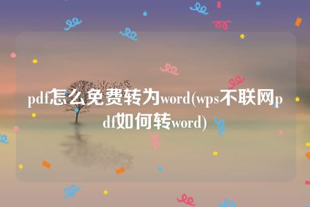 pdf怎么免费转为word(wps不联网pdf如何转word)