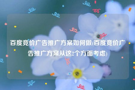 百度竞价广告推广方案如何做(百度竞价广告推广方案从这2个方面考虑)