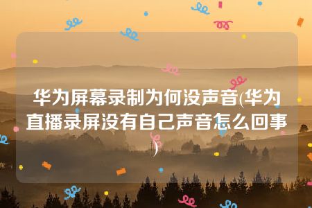 华为屏幕录制为何没声音(华为直播录屏没有自己声音怎么回事)