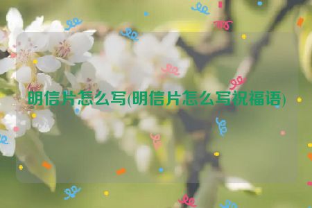 明信片怎么写(明信片怎么写祝福语)