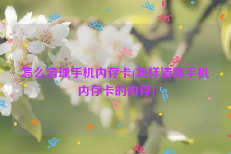 怎么清理手机内存卡(怎样清除手机内存卡的内存)