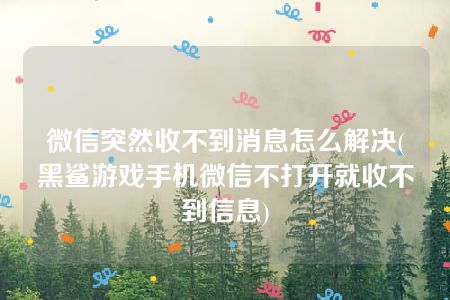 微信突然收不到消息怎么解决(黑鲨游戏手机微信不打开就收不到信息)