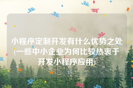 小程序定制开发有什么优势之处(一些中小企业为何比较热衷于开发小程序应用)