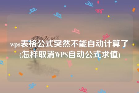 wps表格公式突然不能自动计算了(怎样取消WPS自动公式求值)