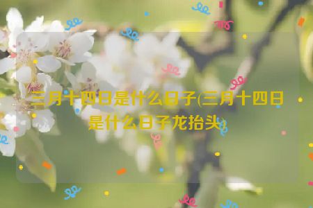 三月十四日是什么日子(三月十四日是什么日子龙抬头)