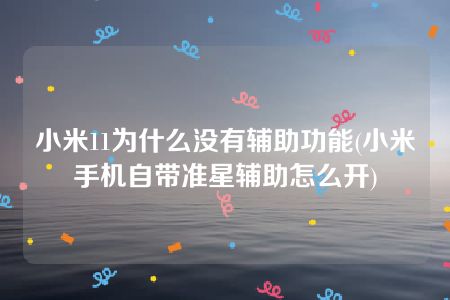 小米11为什么没有辅助功能(小米手机自带准星辅助怎么开)