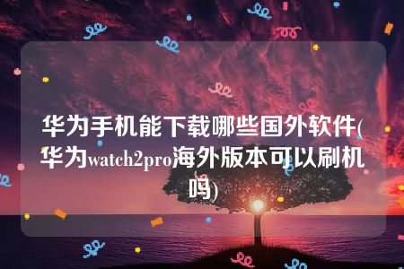 华为手机能下载哪些国外软件(华为watch2pro海外版本可以刷机吗)