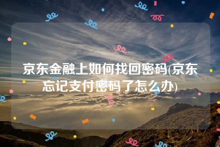 京东金融上如何找回密码(京东忘记支付密码了怎么办)