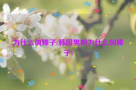 为什么叫棒子(韩国男的为什么叫棒子)