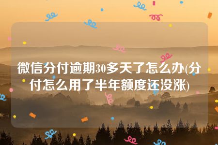 微信分付逾期30多天了怎么办(分付怎么用了半年额度还没涨)