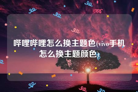 哔哩哔哩怎么换主题色(vivo手机怎么换主题颜色)