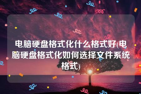 电脑硬盘格式化什么格式好(电脑硬盘格式化如何选择文件系统格式)