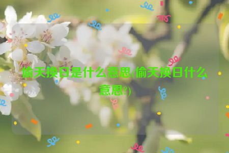 偷天换日是什么意思(偷天换日什么意思?)