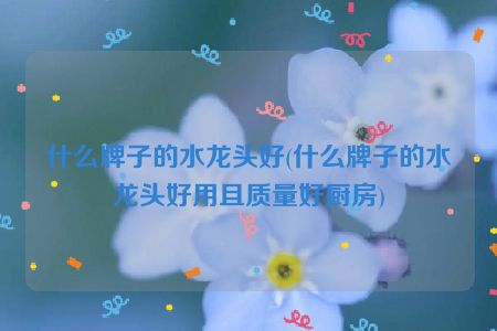 什么牌子的水龙头好(什么牌子的水龙头好用且质量好厨房)