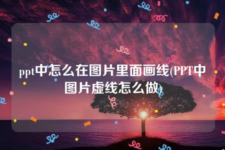 ppt中怎么在图片里面画线(PPT中图片虚线怎么做)