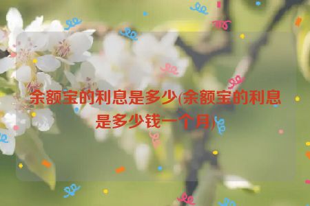 余额宝的利息是多少(余额宝的利息是多少钱一个月)