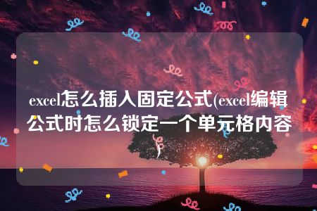 excel怎么插入固定公式(excel编辑公式时怎么锁定一个单元格内容)