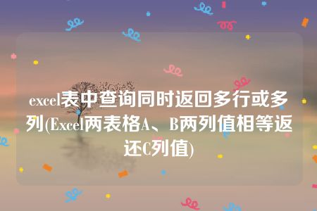 excel表中查询同时返回多行或多列(Excel两表格A、B两列值相等返还C列值)