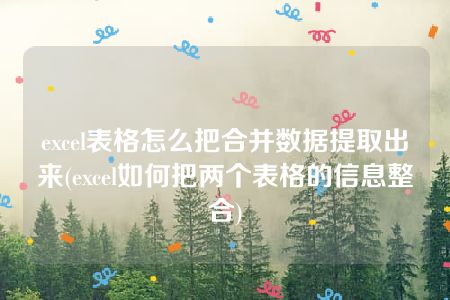 excel表格怎么把合并数据提取出来(excel如何把两个表格的信息整合)