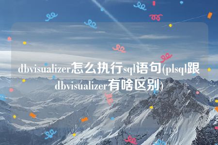 dbvisualizer怎么执行sql语句(plsql跟dbvisualizer有啥区别)