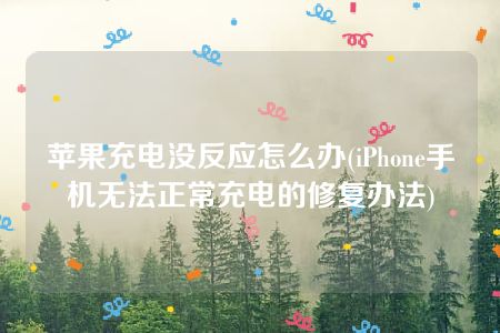 苹果充电没反应怎么办(iPhone手机无法正常充电的修复办法)