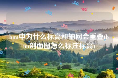 bim中为什么标高和轴网会重叠(bim剖面图怎么标注标高)