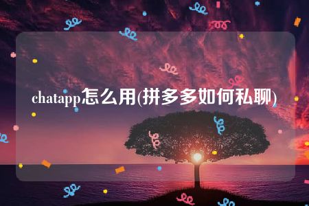 chatapp怎么用(拼多多如何私聊)