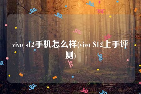 vivo s12手机怎么样(vivo S12上手评测)