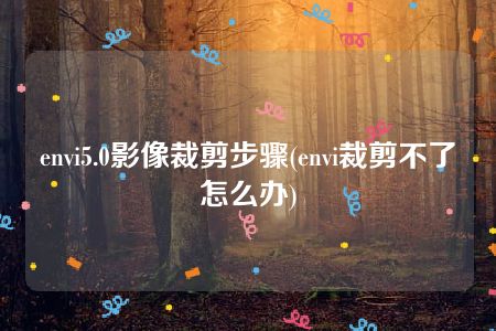 envi5.0影像裁剪步骤(envi裁剪不了怎么办)