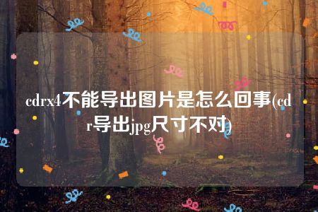 cdrx4不能导出图片是怎么回事(cdr导出jpg尺寸不对)