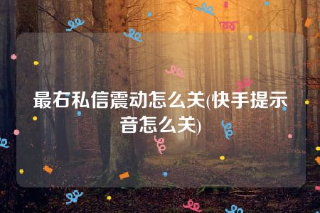 最右私信震动怎么关(快手提示音怎么关)