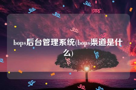 bops后台管理系统(bops渠道是什么)